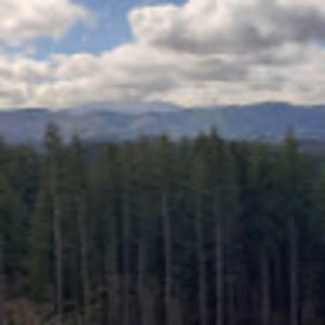 Meet your Posher, Sean